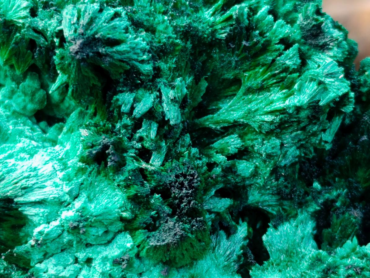 Natural Large Silky Malachite Specimen x 1 From Kasompe, Congo - Toprock Gemstones and Minerals 