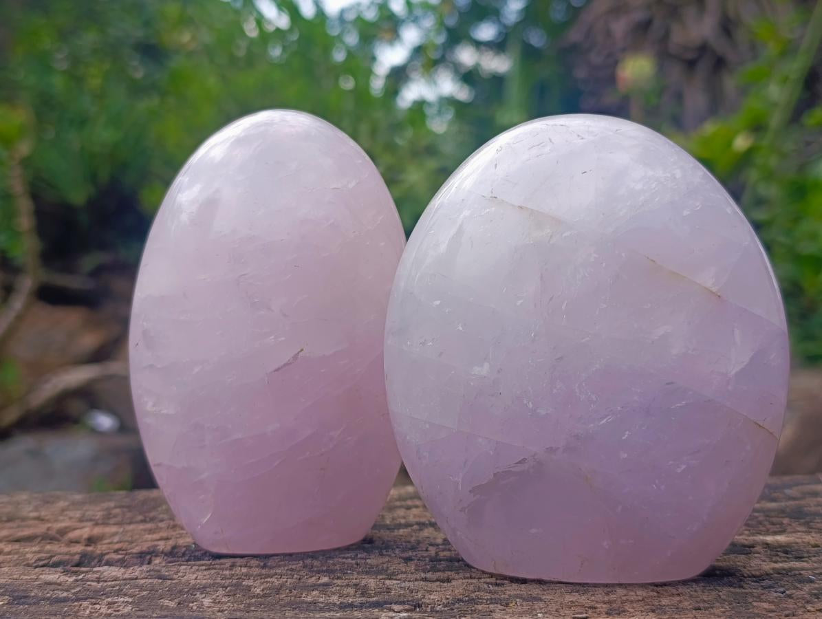 Polished Gemmy Rose Quartz Standing Display Pieces x 2 From Madagascar - Toprock Gemstones and Minerals 