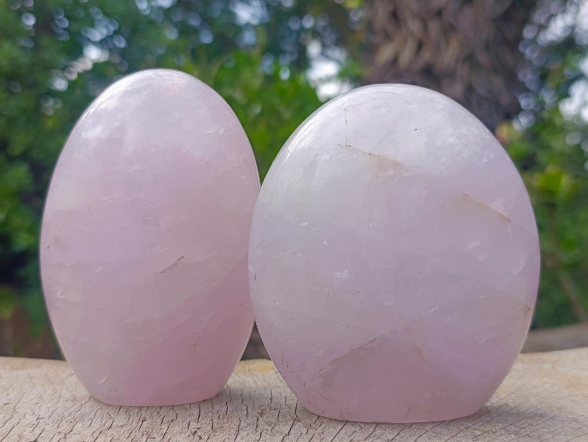 Polished Gemmy Rose Quartz Standing Display Pieces x 2 From Madagascar - Toprock Gemstones and Minerals 