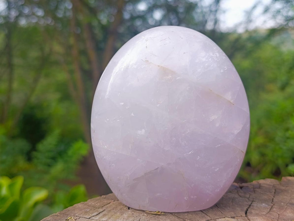 Polished Gemmy Rose Quartz Standing Display Pieces x 2 From Madagascar - Toprock Gemstones and Minerals 
