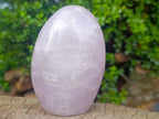 Polished Gemmy Rose Quartz Standing Display Pieces x 2 From Madagascar - Toprock Gemstones and Minerals 