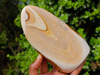 Polished Picture Stone Jasper Standing Display Pieces x 3 From Ais-Ais, Namibia - Toprock Gemstones and Minerals 