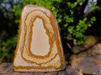 Polished Picture Stone Jasper Standing Display Pieces x 3 From Ais-Ais, Namibia - Toprock Gemstones and Minerals 