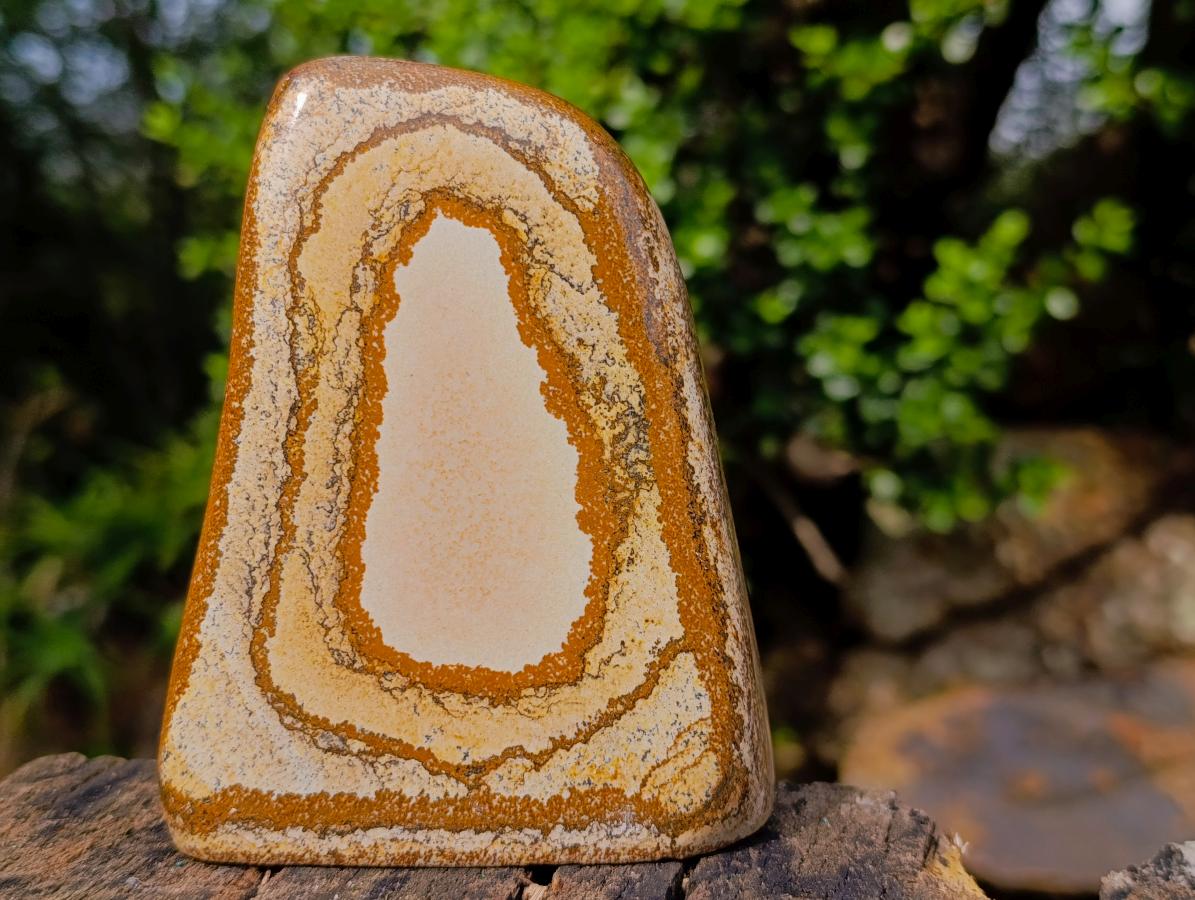 Polished Picture Stone Jasper Standing Display Pieces x 3 From Ais-Ais, Namibia - Toprock Gemstones and Minerals 