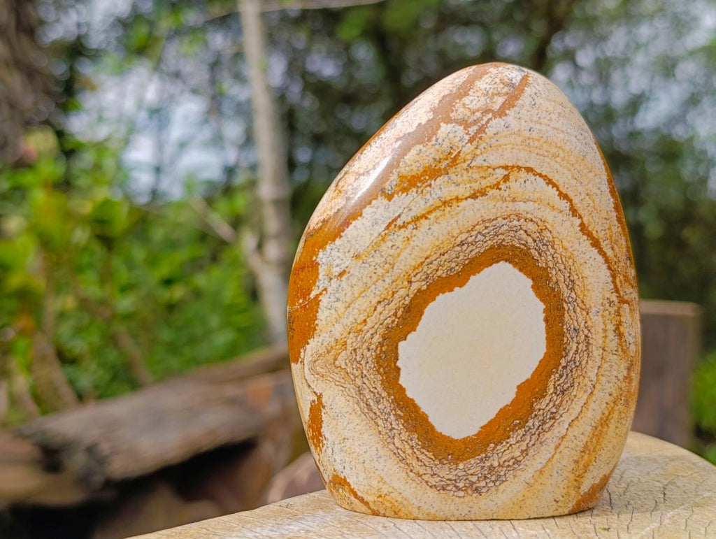 Polished Picture Stone Jasper Standing Display Pieces x 3 From Ais-Ais, Namibia - Toprock Gemstones and Minerals 