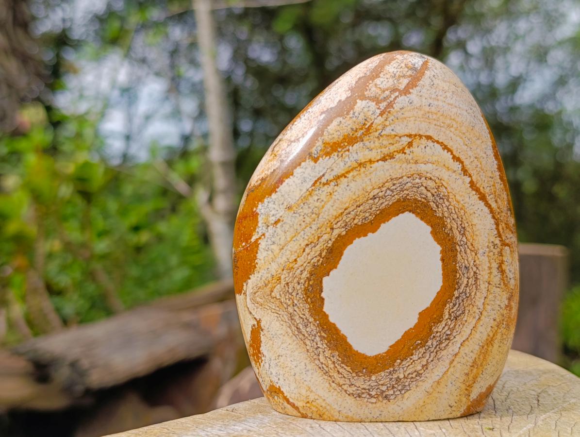 Polished Picture Stone Jasper Standing Display Pieces x 3 From Ais-Ais, Namibia - Toprock Gemstones and Minerals 
