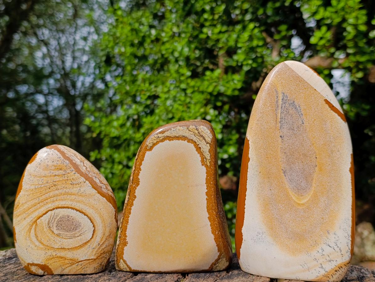Polished Picture Stone Jasper Standing Display Pieces x 3 From Ais-Ais, Namibia - Toprock Gemstones and Minerals 