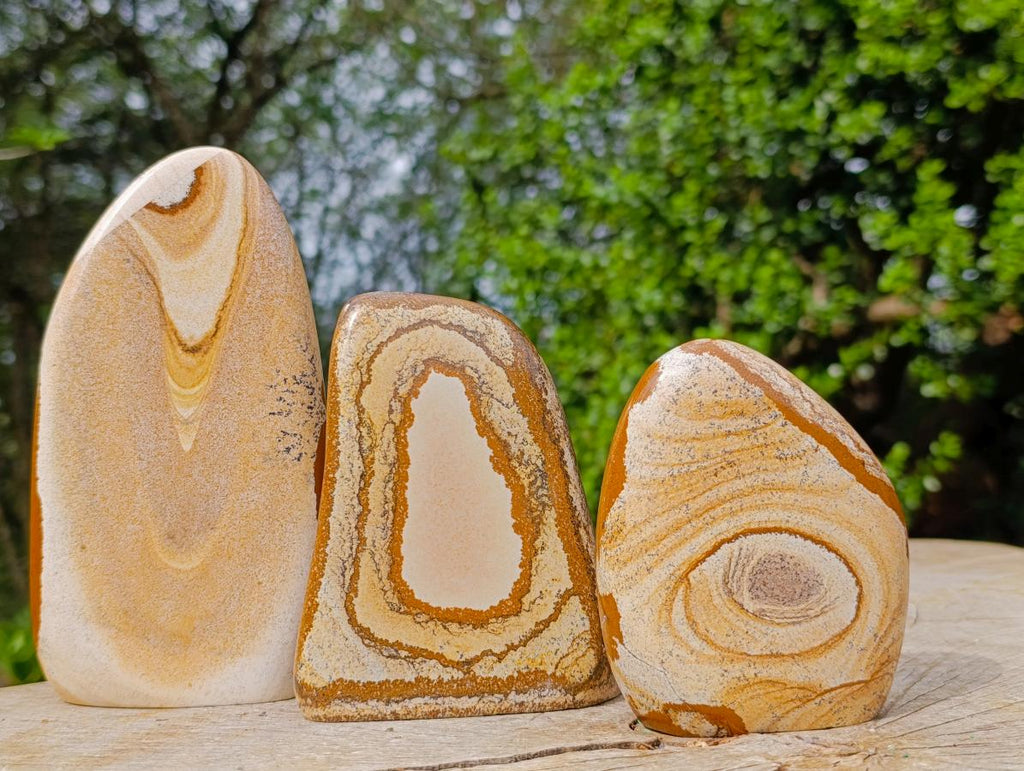 Polished Picture Stone Jasper Standing Display Pieces x 3 From Ais-Ais, Namibia - Toprock Gemstones and Minerals 