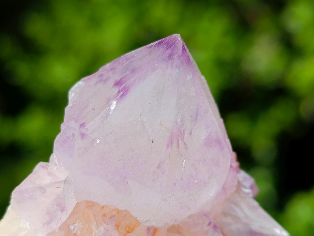 Natural Sunburst Spirit Amethyst Clusters x 12 From Boekenhouthoek, South Africa - Toprock Gemstones and Minerals 