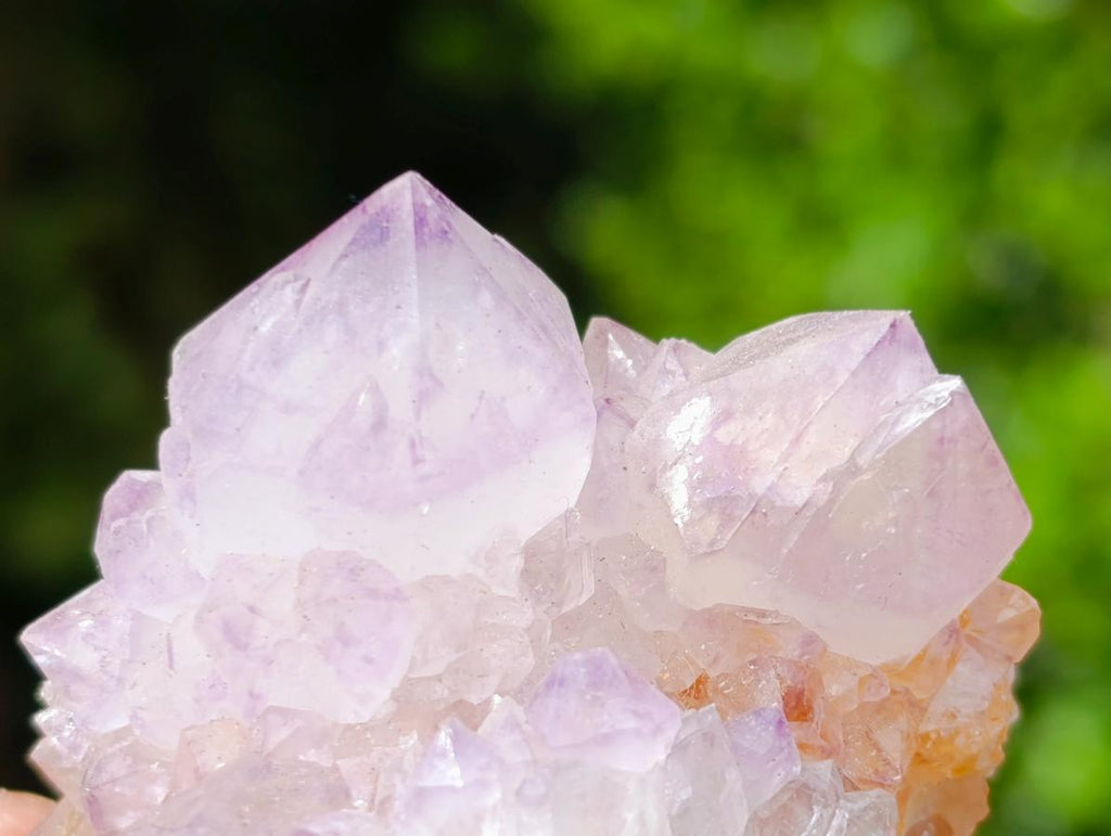 Natural Sunburst Spirit Amethyst Clusters x 12 From Boekenhouthoek, South Africa - Toprock Gemstones and Minerals 