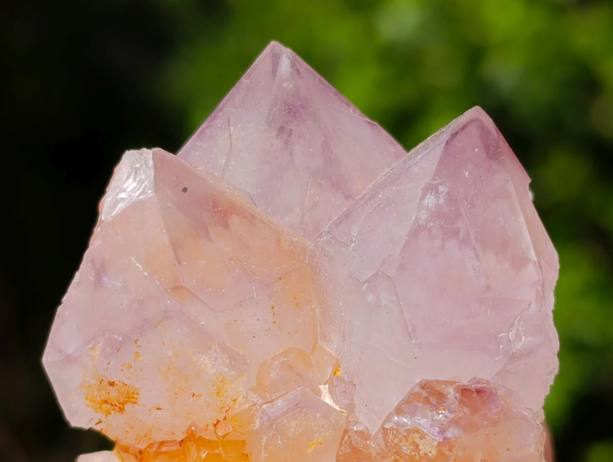 Natural Sunburst Spirit Amethyst Clusters x 12 From Boekenhouthoek, South Africa - Toprock Gemstones and Minerals 