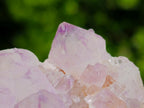 Natural Sunburst Spirit Amethyst Clusters x 12 From Boekenhouthoek, South Africa - Toprock Gemstones and Minerals 