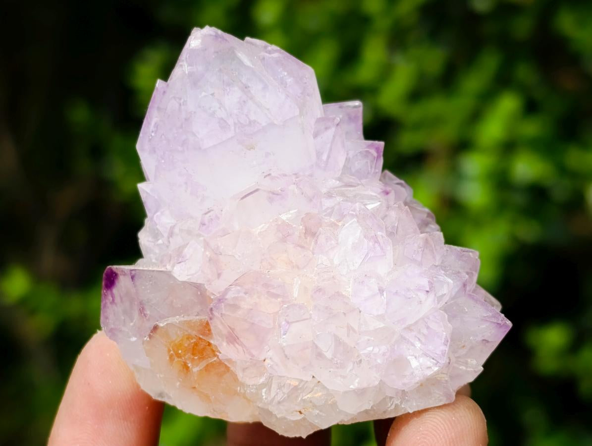 Natural Sunburst Spirit Amethyst Clusters x 12 From Boekenhouthoek, South Africa - Toprock Gemstones and Minerals 