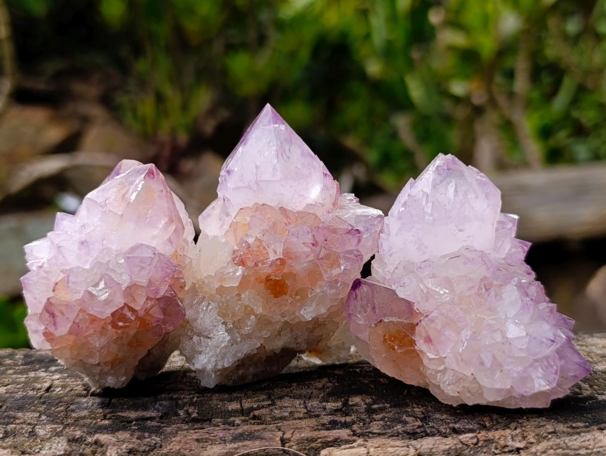 Natural Sunburst Spirit Amethyst Clusters x 12 From Boekenhouthoek, South Africa - Toprock Gemstones and Minerals 