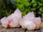 Natural Sunburst Spirit Amethyst Clusters x 12 From Boekenhouthoek, South Africa - Toprock Gemstones and Minerals 