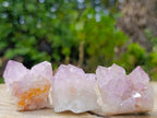 Natural Sunburst Spirit Amethyst Clusters x 12 From Boekenhouthoek, South Africa - Toprock Gemstones and Minerals 