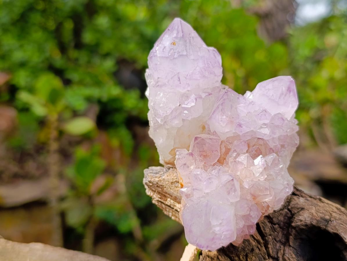Natural Sunburst Spirit Amethyst Clusters x 12 From Boekenhouthoek, South Africa - Toprock Gemstones and Minerals 