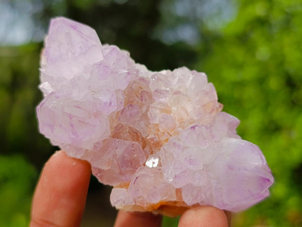 Natural Sunburst Spirit Amethyst Clusters x 12 From Boekenhouthoek, South Africa - Toprock Gemstones and Minerals 
