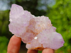 Natural Sunburst Spirit Amethyst Clusters x 12 From Boekenhouthoek, South Africa - Toprock Gemstones and Minerals 