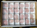 Polished Gemmy Rose Quartz Palm Stones x 24 From Madagascar - Toprock Gemstones and Minerals 