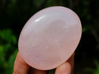 Polished Gemmy Rose Quartz Palm Stones x 24 From Madagascar - Toprock Gemstones and Minerals 