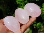 Polished Gemmy Rose Quartz Palm Stones x 24 From Madagascar - Toprock Gemstones and Minerals 