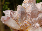 Natural Large Red Hematoid Quartz Cluster x 1 From Karoi, Zimbabwe - Toprock Gemstones and Minerals 