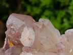 Natural Large Red Hematoid Quartz Cluster x 1 From Karoi, Zimbabwe - Toprock Gemstones and Minerals 