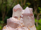 Natural Large Red Hematoid Quartz Cluster x 1 From Karoi, Zimbabwe - Toprock Gemstones and Minerals 
