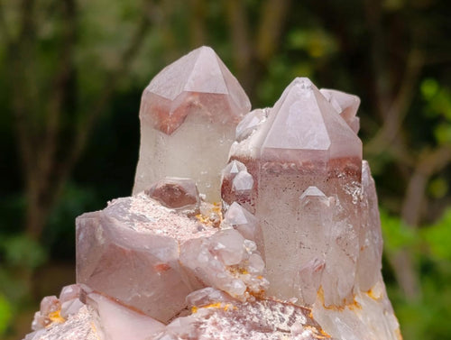 Natural Large Red Hematoid Quartz Cluster x 1 From Karoi, Zimbabwe - Toprock Gemstones and Minerals 