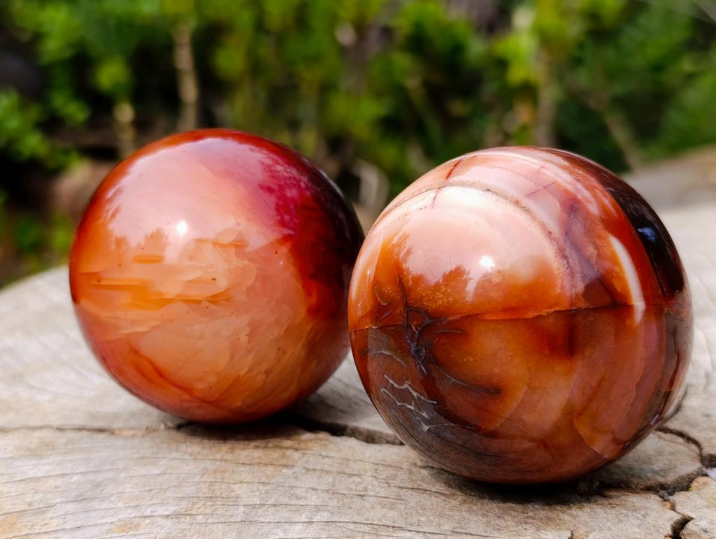 Polished Carnelian Agate Gemstone Spheres x 5 From Madagascar - Toprock Gemstones and Minerals 