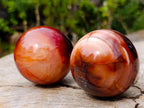 Polished Carnelian Agate Gemstone Spheres x 5 From Madagascar - Toprock Gemstones and Minerals 