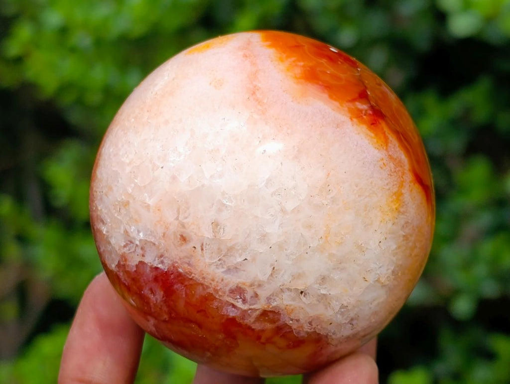 Polished Carnelian Agate Gemstone Spheres x 5 From Madagascar - Toprock Gemstones and Minerals 