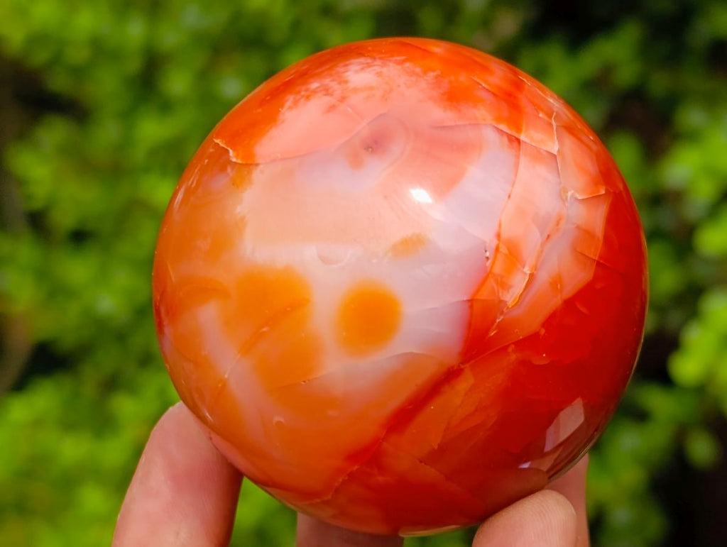 Polished Carnelian Agate Gemstone Spheres x 5 From Madagascar - Toprock Gemstones and Minerals 