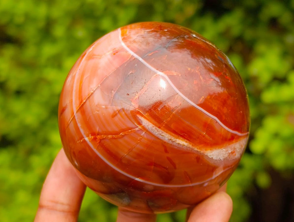 Polished Carnelian Agate Gemstone Spheres x 5 From Madagascar - Toprock Gemstones and Minerals 