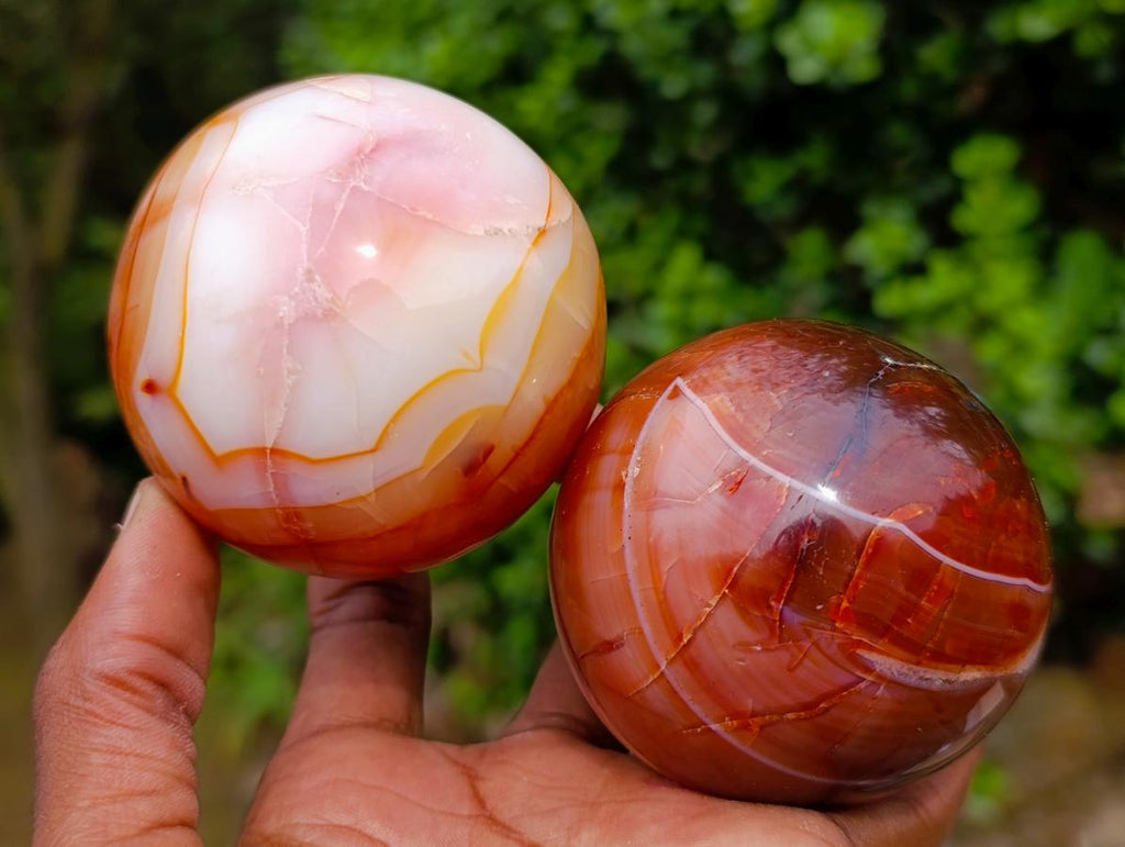Polished Carnelian Agate Gemstone Spheres x 5 From Madagascar - Toprock Gemstones and Minerals 