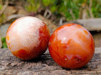 Polished Carnelian Agate Gemstone Spheres x 5 From Madagascar - Toprock Gemstones and Minerals 