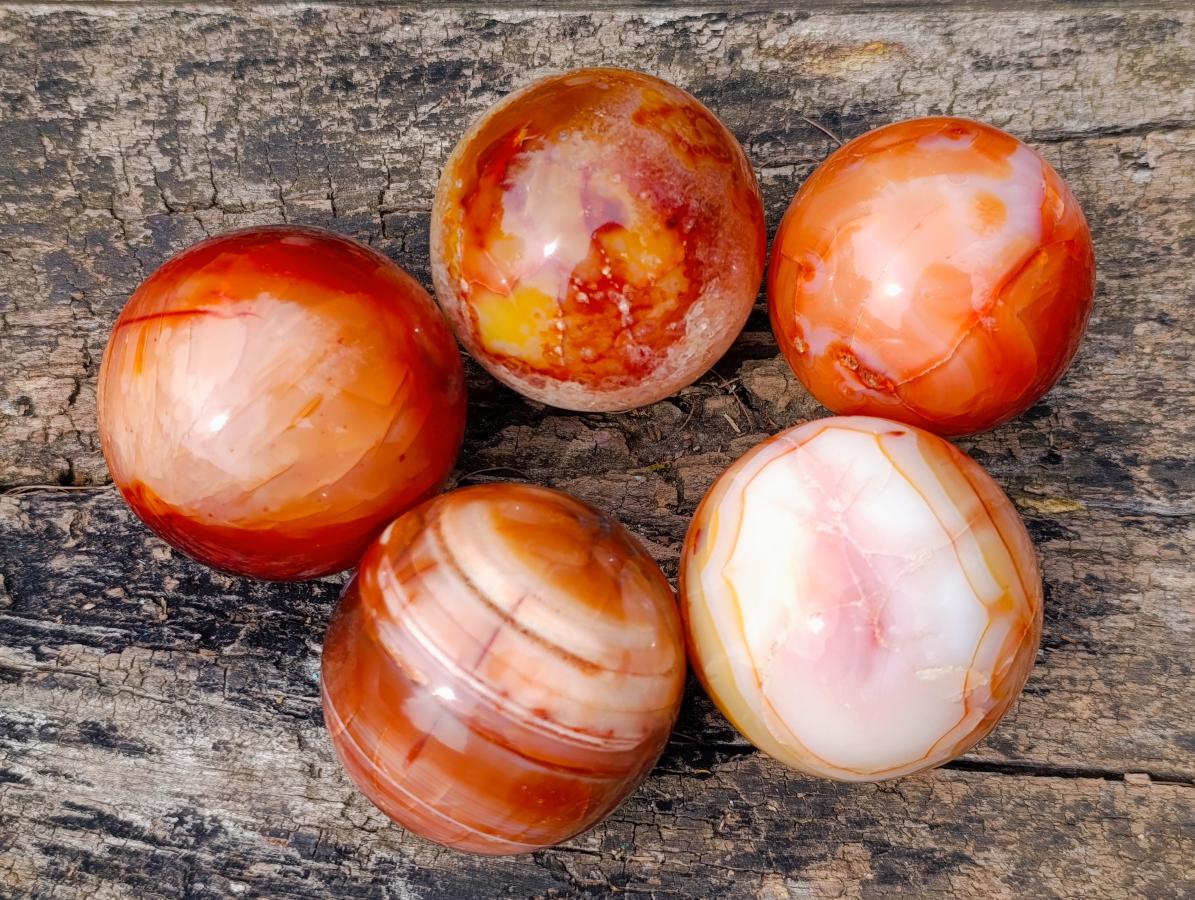 Polished Carnelian Agate Gemstone Spheres x 5 From Madagascar - Toprock Gemstones and Minerals 