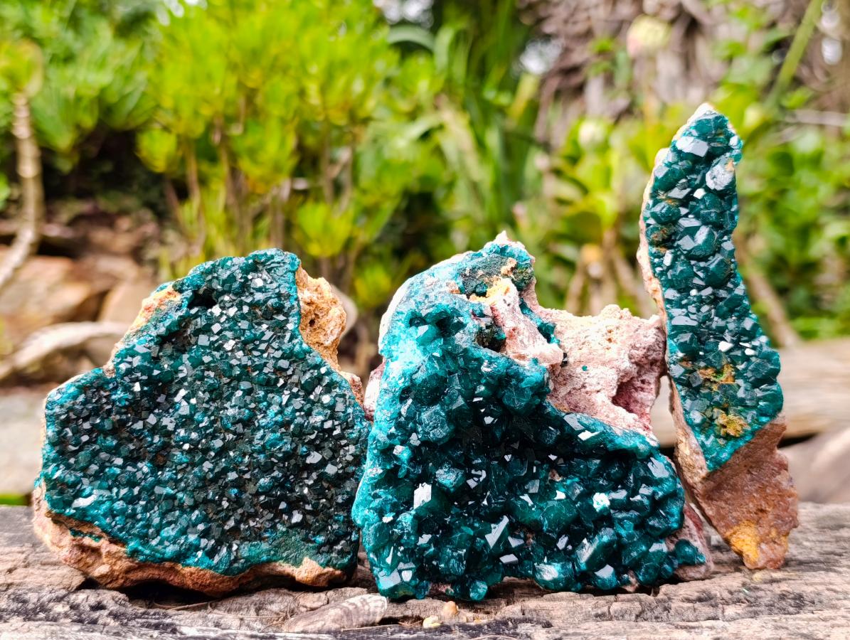Natural Dioptase on Dolomite Specimens x 3 From Likasi, Congo - Toprock Gemstones and Minerals 