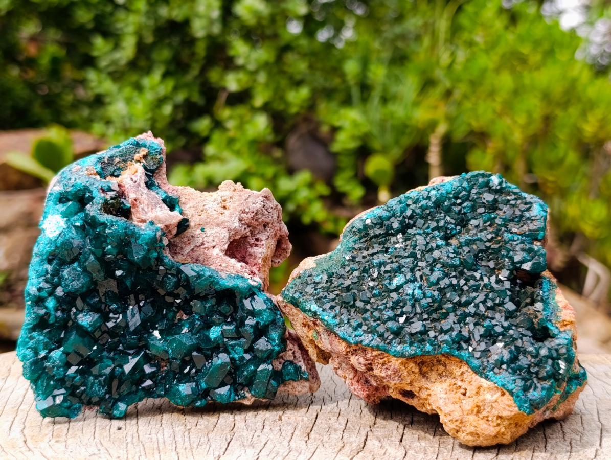 Natural Dioptase on Dolomite Specimens x 3 From Likasi, Congo - Toprock Gemstones and Minerals 