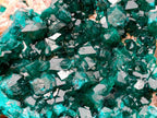 Natural Dioptase on Dolomite Specimens x 3 From Likasi, Congo - Toprock Gemstones and Minerals 