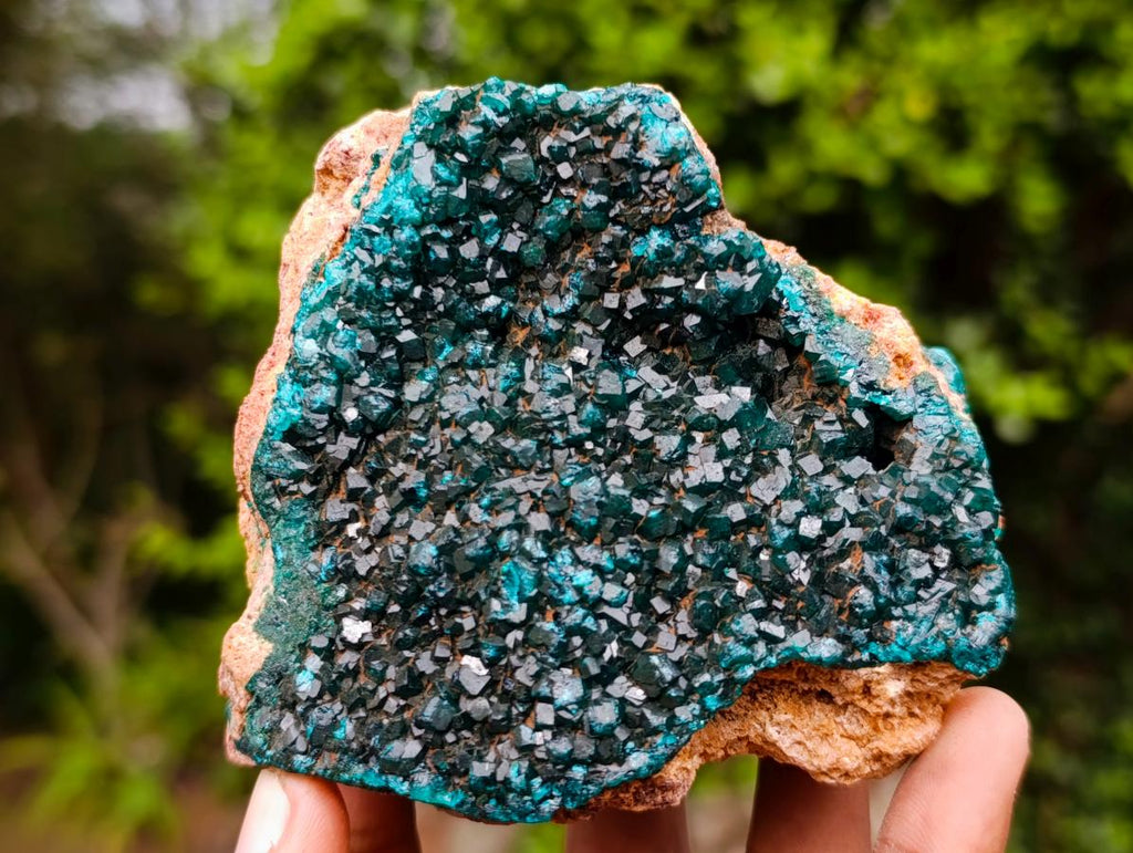 Natural Dioptase on Dolomite Specimens x 3 From Likasi, Congo - Toprock Gemstones and Minerals 