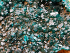 Natural Dioptase on Dolomite Specimens x 3 From Likasi, Congo - Toprock Gemstones and Minerals 