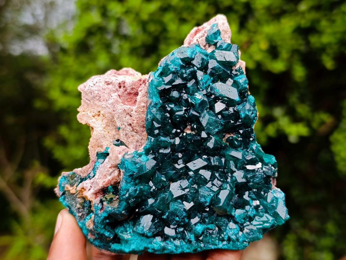 Natural Dioptase on Dolomite Specimens x 3 From Likasi, Congo - Toprock Gemstones and Minerals 