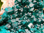 Natural Dioptase on Dolomite Specimens x 3 From Likasi, Congo - Toprock Gemstones and Minerals 