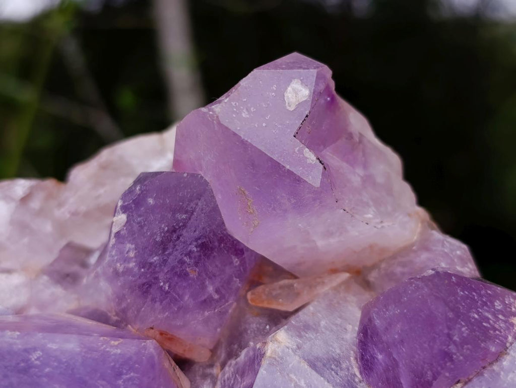 Natural Large Jacaranda Amethyst Crystal Cluster x 1 From Mumbwa, Zambia - Toprock Gemstones and Minerals 