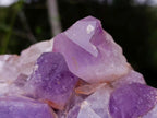 Natural Large Jacaranda Amethyst Crystal Cluster x 1 From Mumbwa, Zambia - Toprock Gemstones and Minerals 