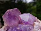 Natural Large Jacaranda Amethyst Crystal Cluster x 1 From Mumbwa, Zambia - Toprock Gemstones and Minerals 