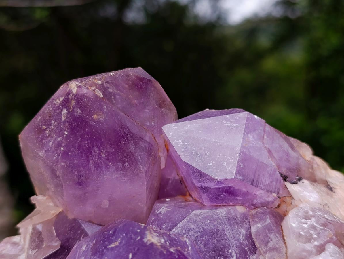 Natural Large Jacaranda Amethyst Crystal Cluster x 1 From Mumbwa, Zambia - Toprock Gemstones and Minerals 