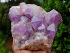 Natural Large Jacaranda Amethyst Crystal Cluster x 1 From Mumbwa, Zambia - Toprock Gemstones and Minerals 